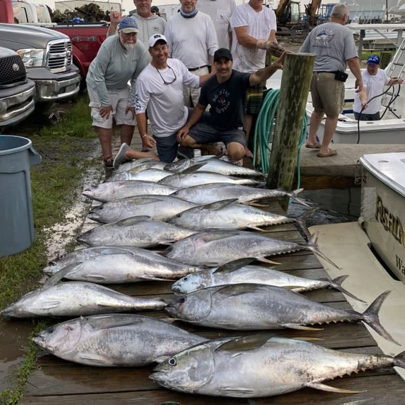 Wanchese offshore trip lands citation yellowfin tuna and mixed bag