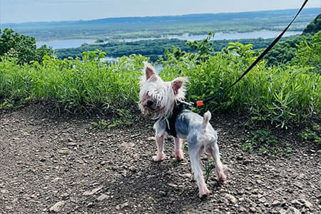 Jay Cooke State Park offers year-round outdoor escape near Duluth