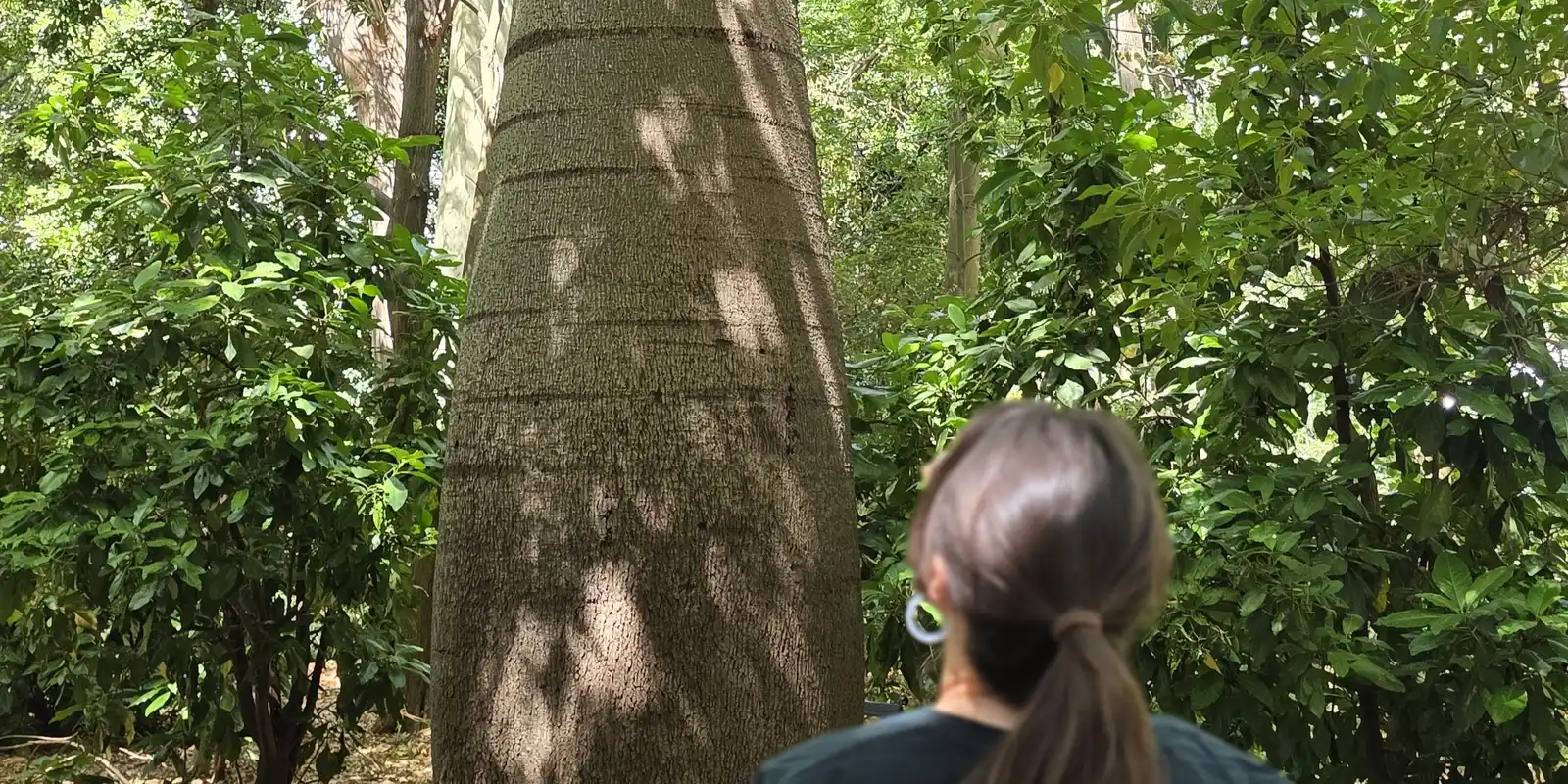 Mindfulness in the Gardens, Adelaide event supports conservation and education