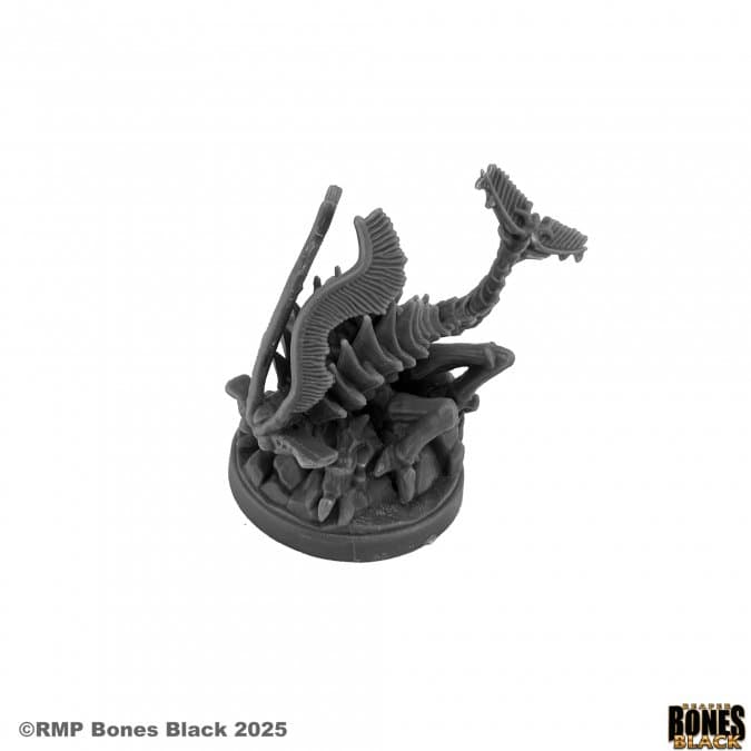 Reaper's January 2026 drop adds Bones Black Cal Arath trio