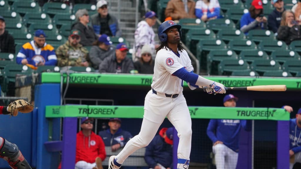 McAdoo homer sparks late Bisons rally to end four-game skid