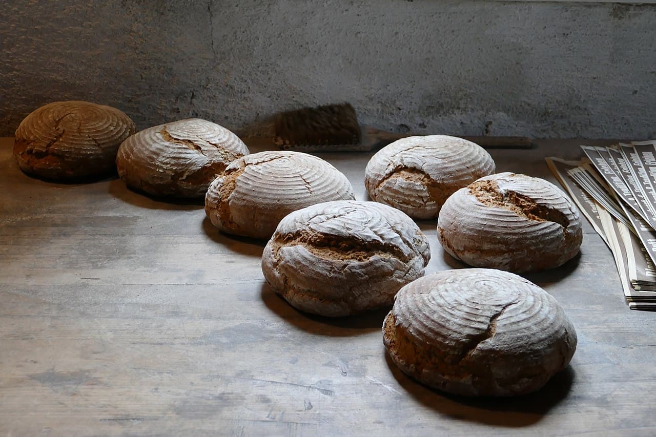 Seven Ways Sourdough Outperforms Commercial Bread in Flavor, Health, Ritual