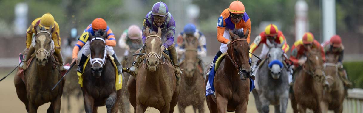 Further Ado Headlines Field in 46th ESMARK Tampa Bay Derby