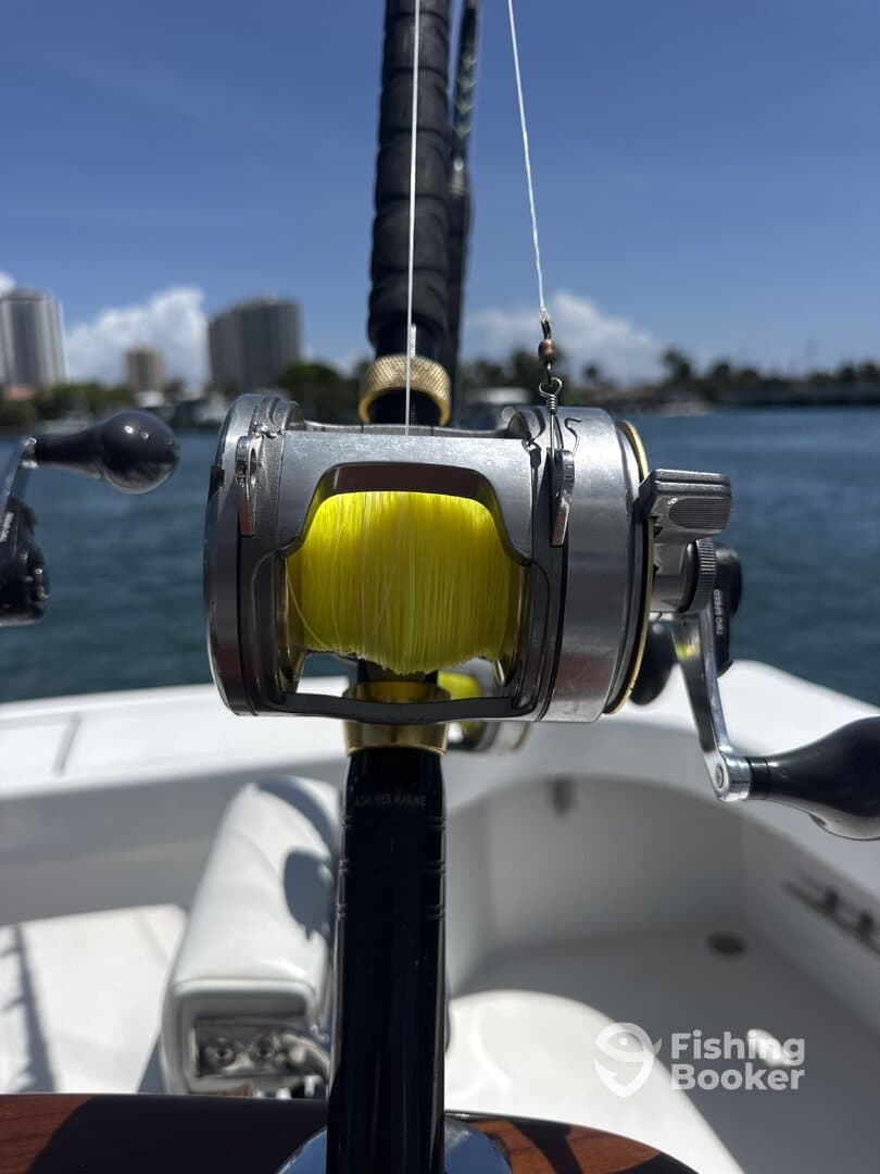 Warm Weather Sparks Reliable Blackfin Tuna Bite Off Palm Beach