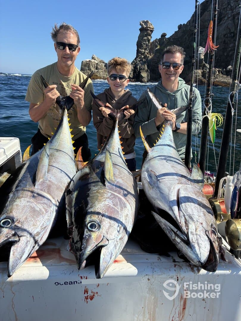 Cape Town Tuna Fishing Heats Up as Offshore Season Peaks