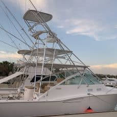 Los Cabos Striped Marlin Bite Lights Up Holiday Offshore Fishing