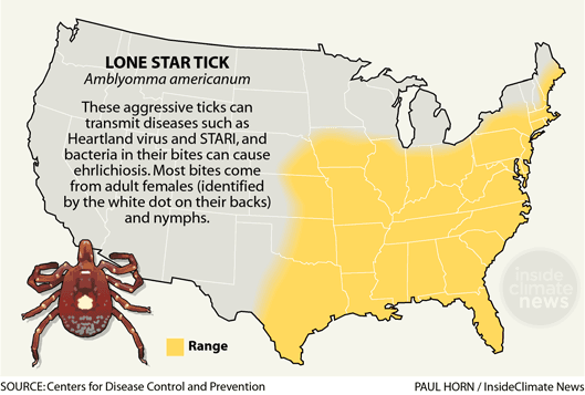 Redcedar Spread Linked to Lone Star Tick Expansion, Threatening Local Health