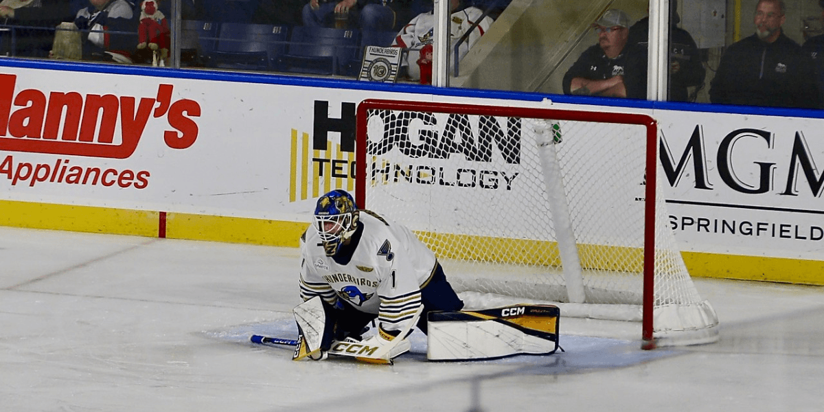 Zherenko Shines But Thunderbirds Fall 3-2 to Providence in Overtime