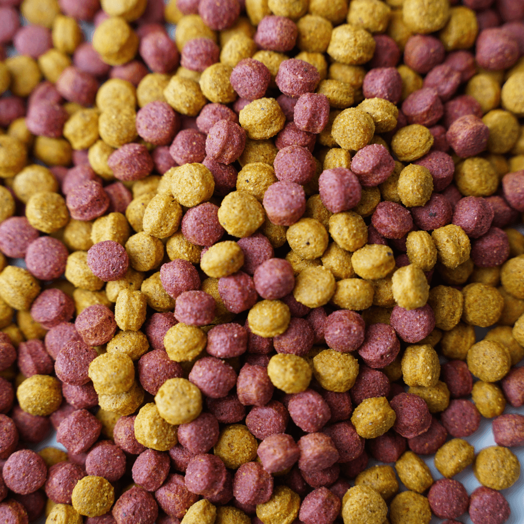 Complete Pelleted Diets Offer Parrots Balanced Nutrition, Replacing Seed-Only Feeding