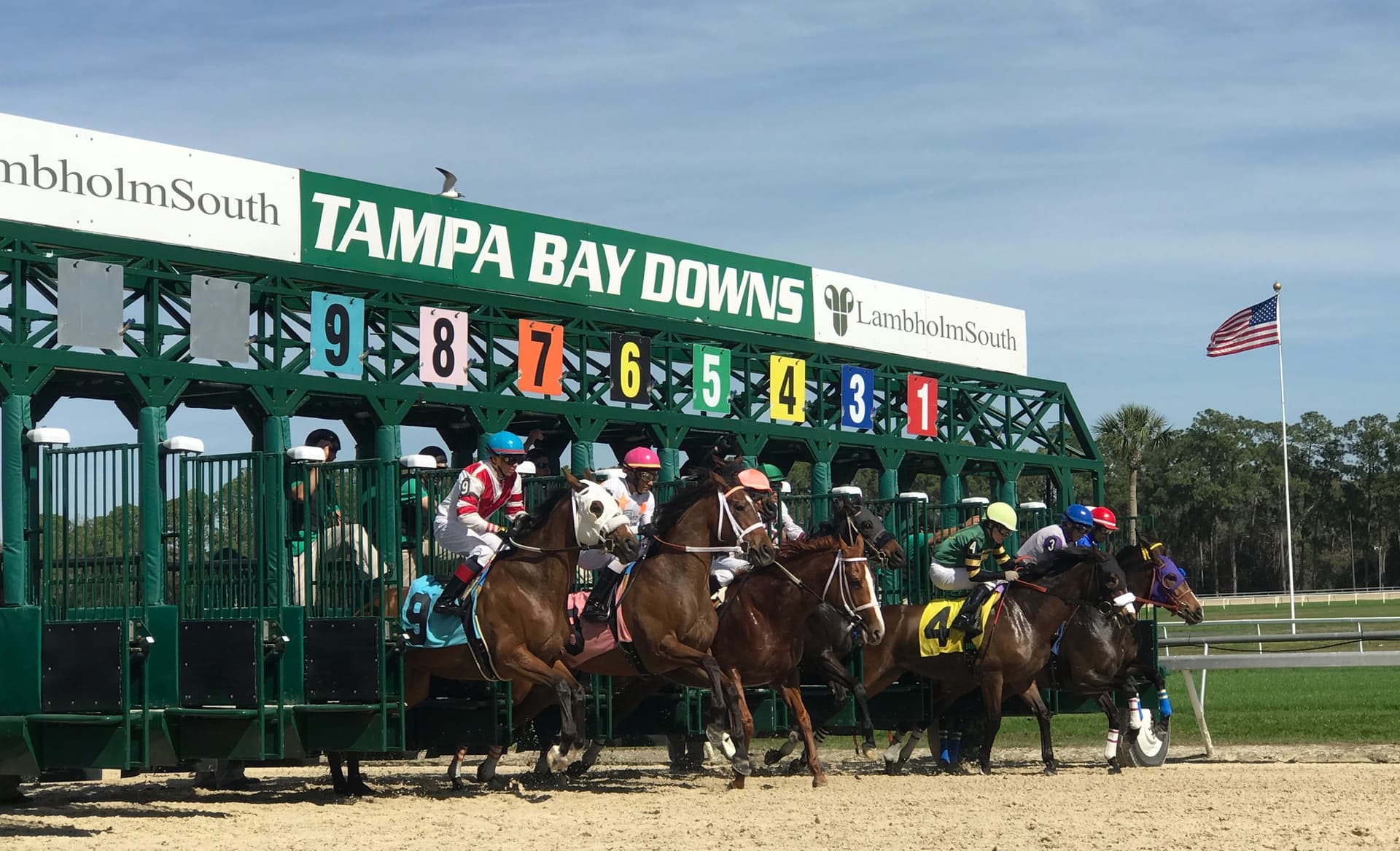 Disruptor Defeats Disco Time in GIII Challenger Stakes at Tampa Bay Downs