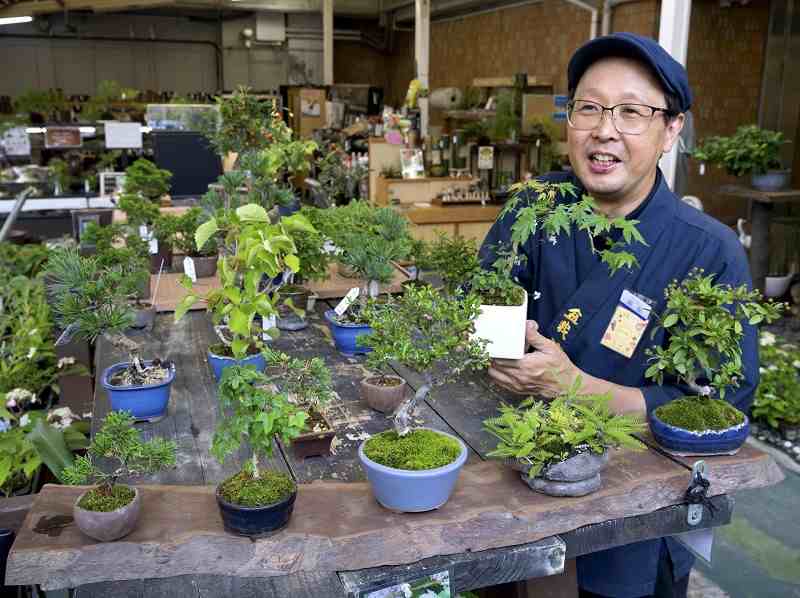 Mini bonsai-making workshop brings Kawaguchi craft to Ikebukuro station