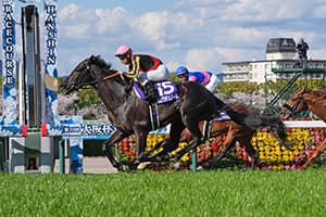 Croix du Nord targets historic spring Triple Crown at Takarazuka Kinen
