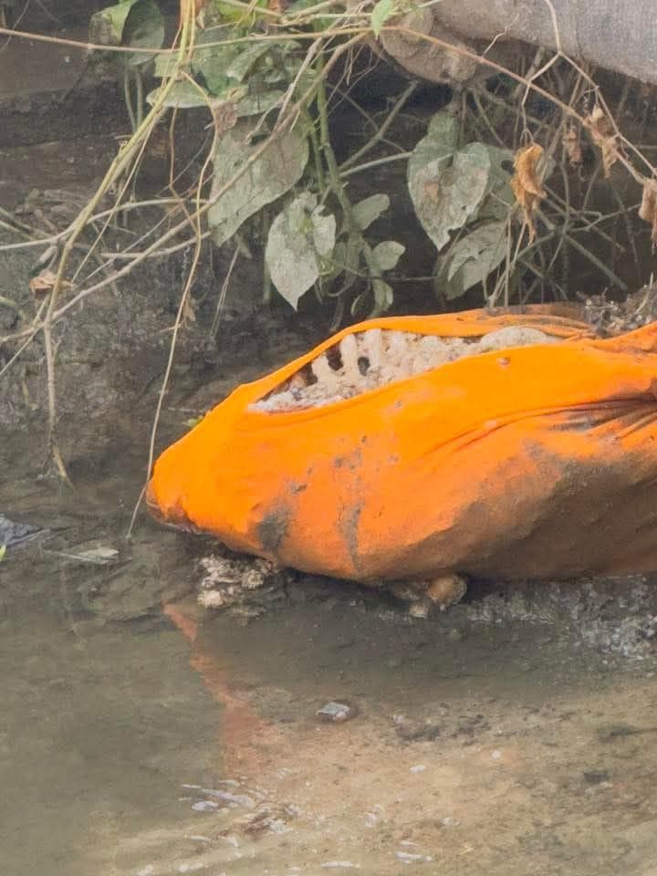 Cold Case Identity Revealed, 1991 Swamp Remains Linked to Missing Man