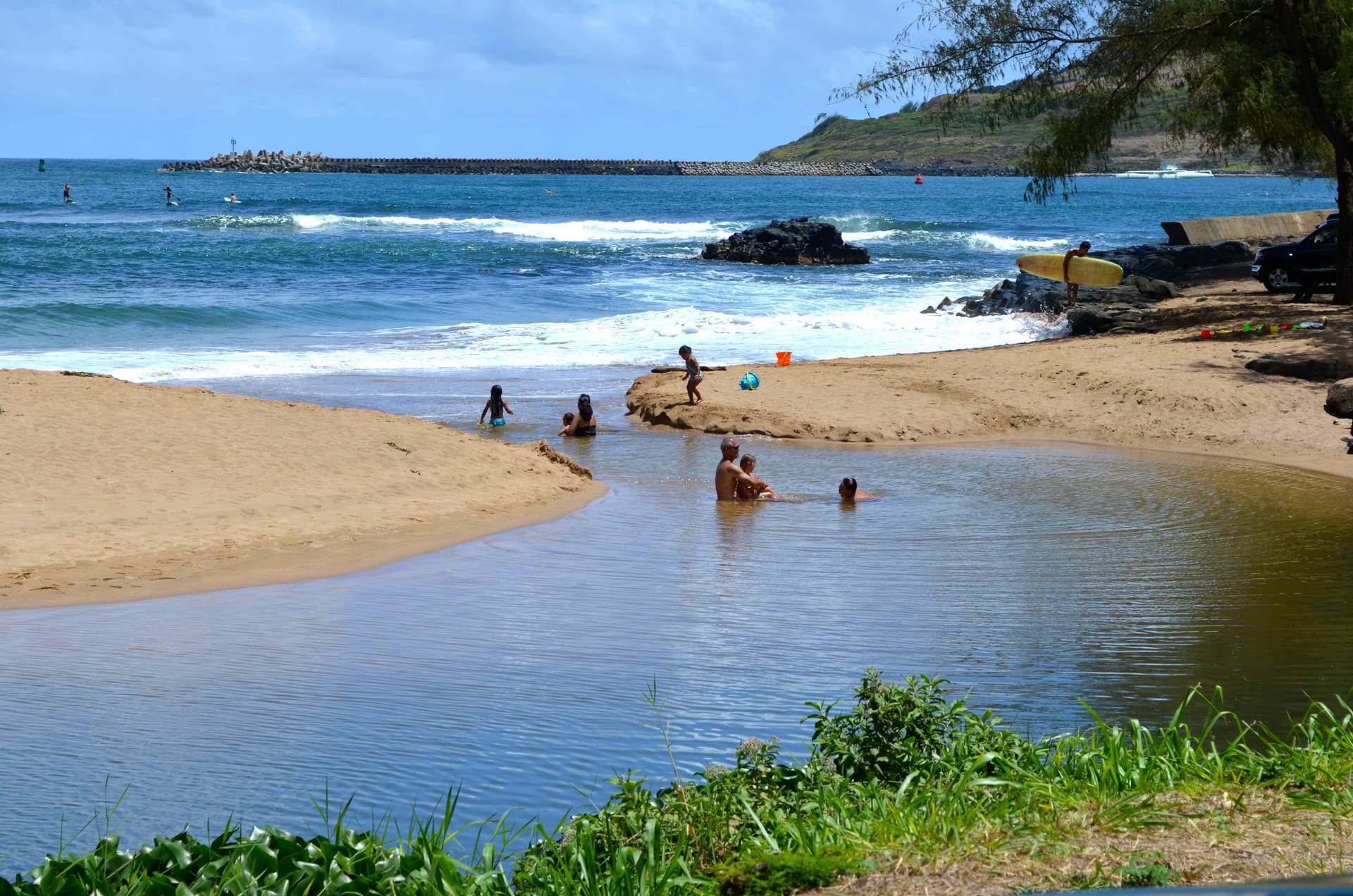 Surfrider Testing Finds Elevated Bacteria at 20 Kauai Coastal Sites