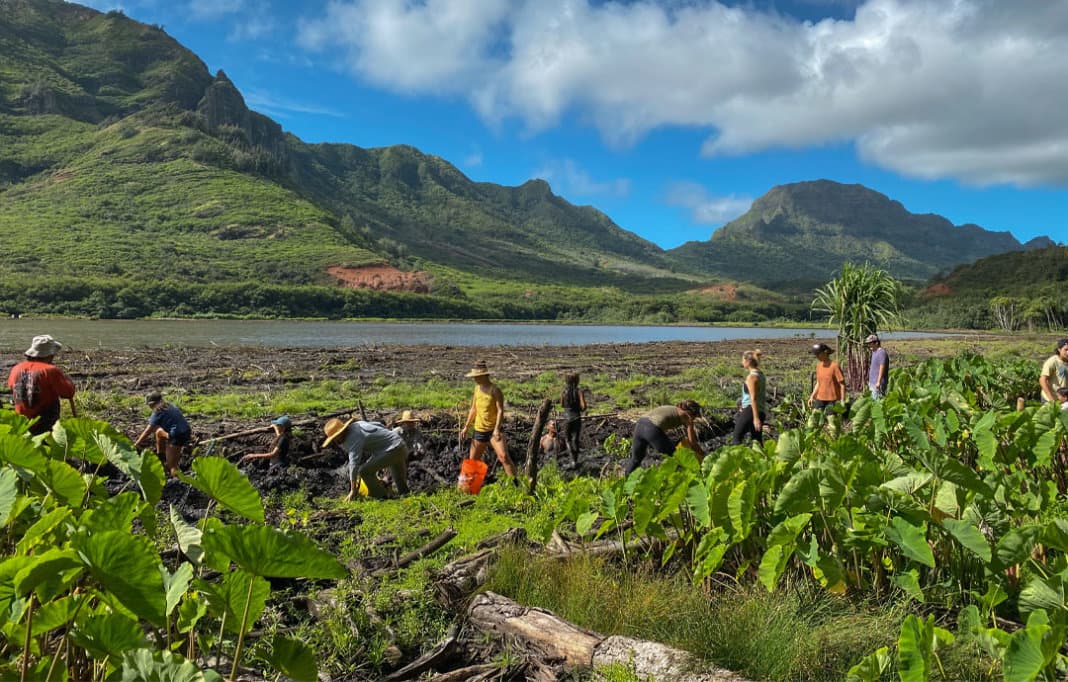 Volunteers Restore Native Habitat at Alakoko Fishpond for Spring Workday