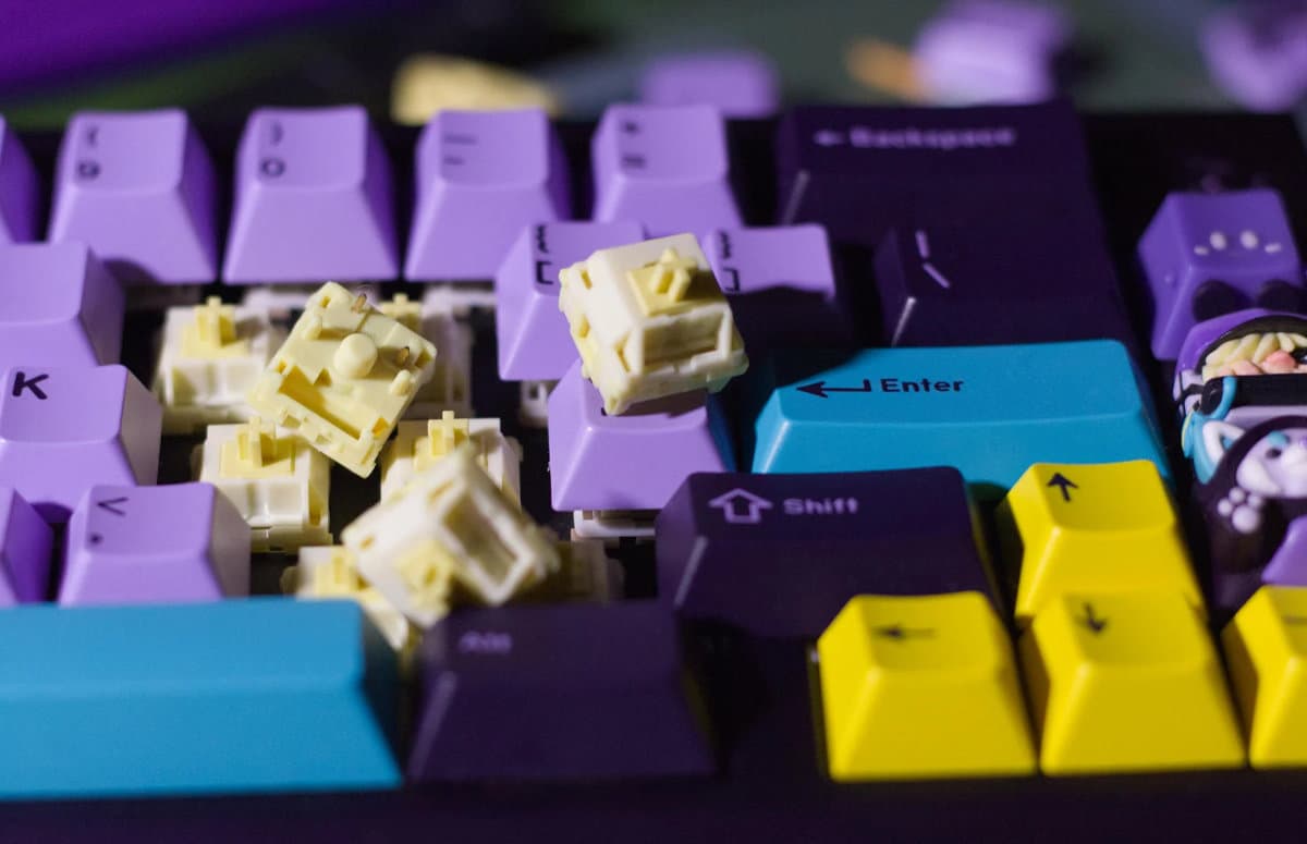 Kbd.news Reveals February 2026 Top Mechanical Switches, 1M Sales