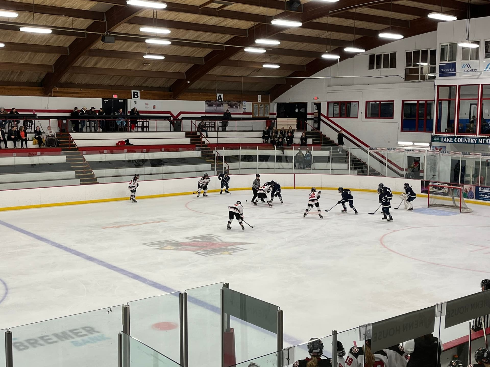Bemidji High Girls Hockey Wins Section 8AA, Return to State Since 2007