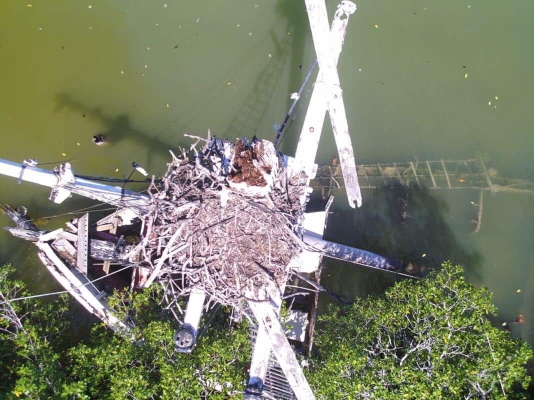 Monroe County finishes major derelict vessel cleanup across Keys