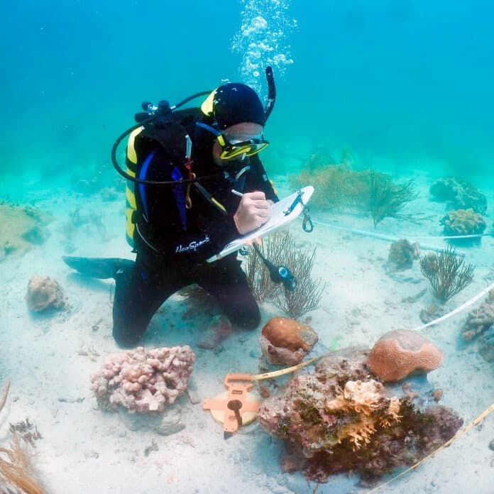 NOAA Sanctuary Leader Retires Today, Leaving Local Reef Efforts in Transition