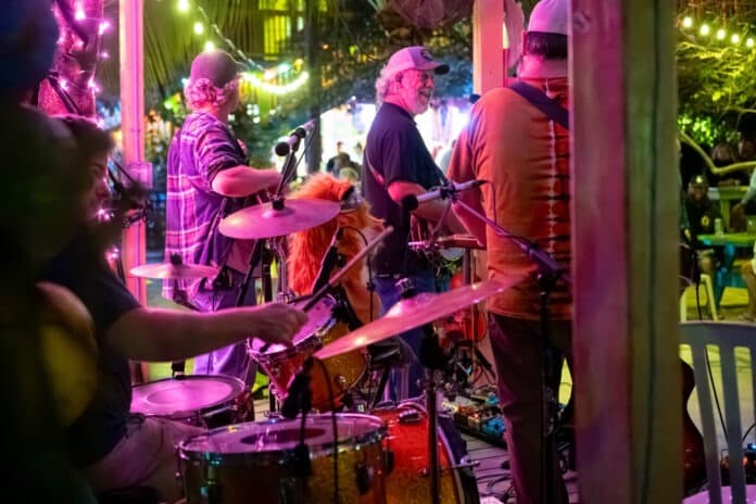 Photos Capture 13th Annual Baygrass Bluegrass Festival's Music and Community Vibe