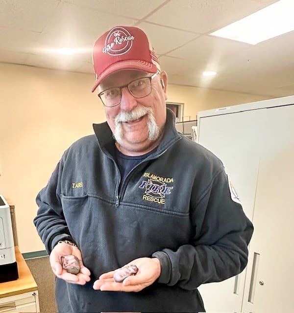 Monroe County Firefighters Rescue Fawn from Brush Fire, Aid Other Wildlife