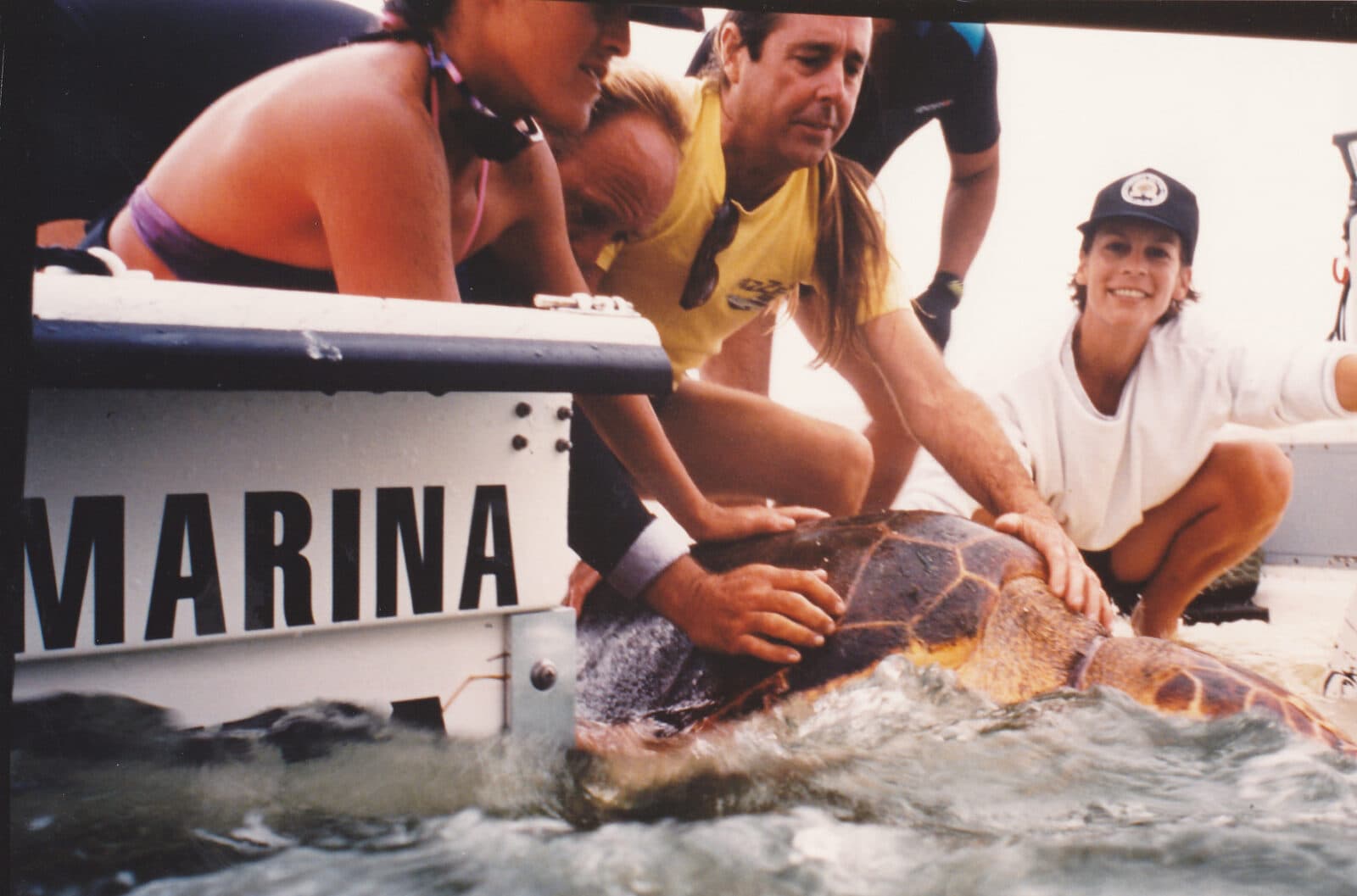 Marathon's Turtle Hospital Marks 40 Years of Sea Turtle Conservation