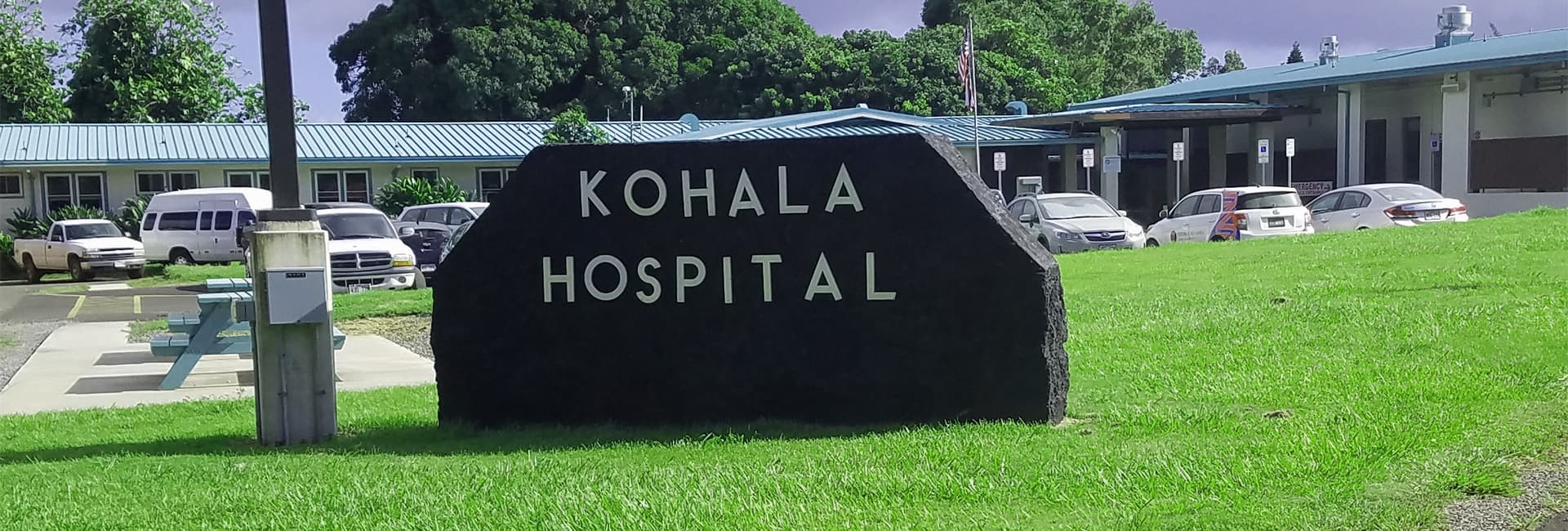 KARES seeks emergency donations after Kohala cat found with slashed throat