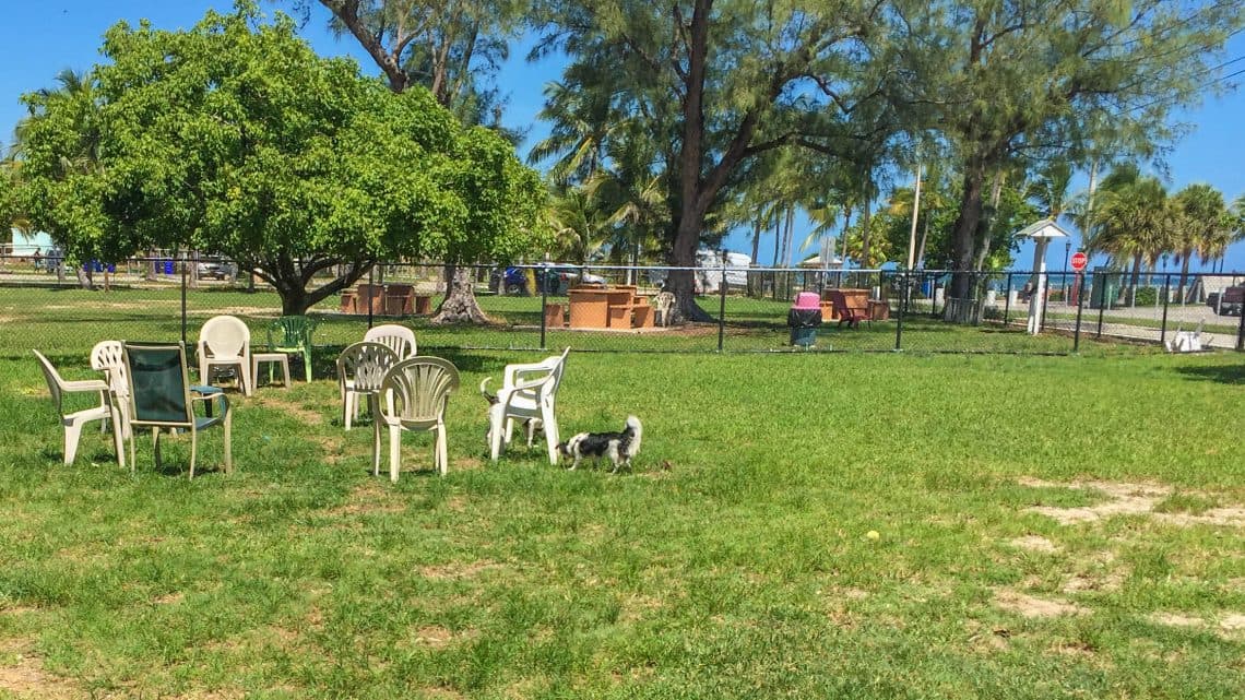Higgs Beach Off-leash Dog Park Closed Second Friday Monthly for Maintenance