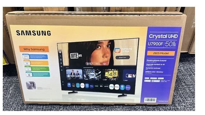 Dua Lipa sues Samsung over unauthorized TV box photo use