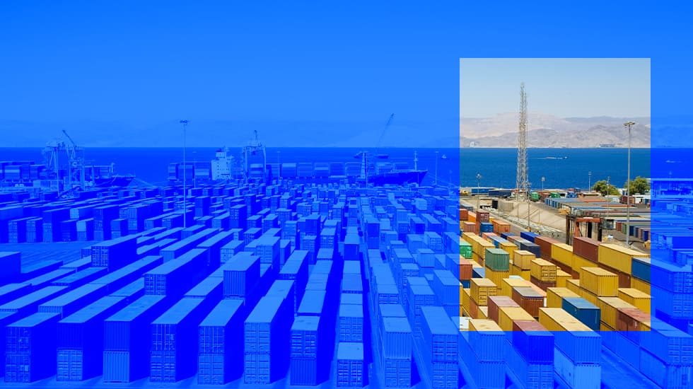 KPMG says trade uncertainty is slowing client investment decisions