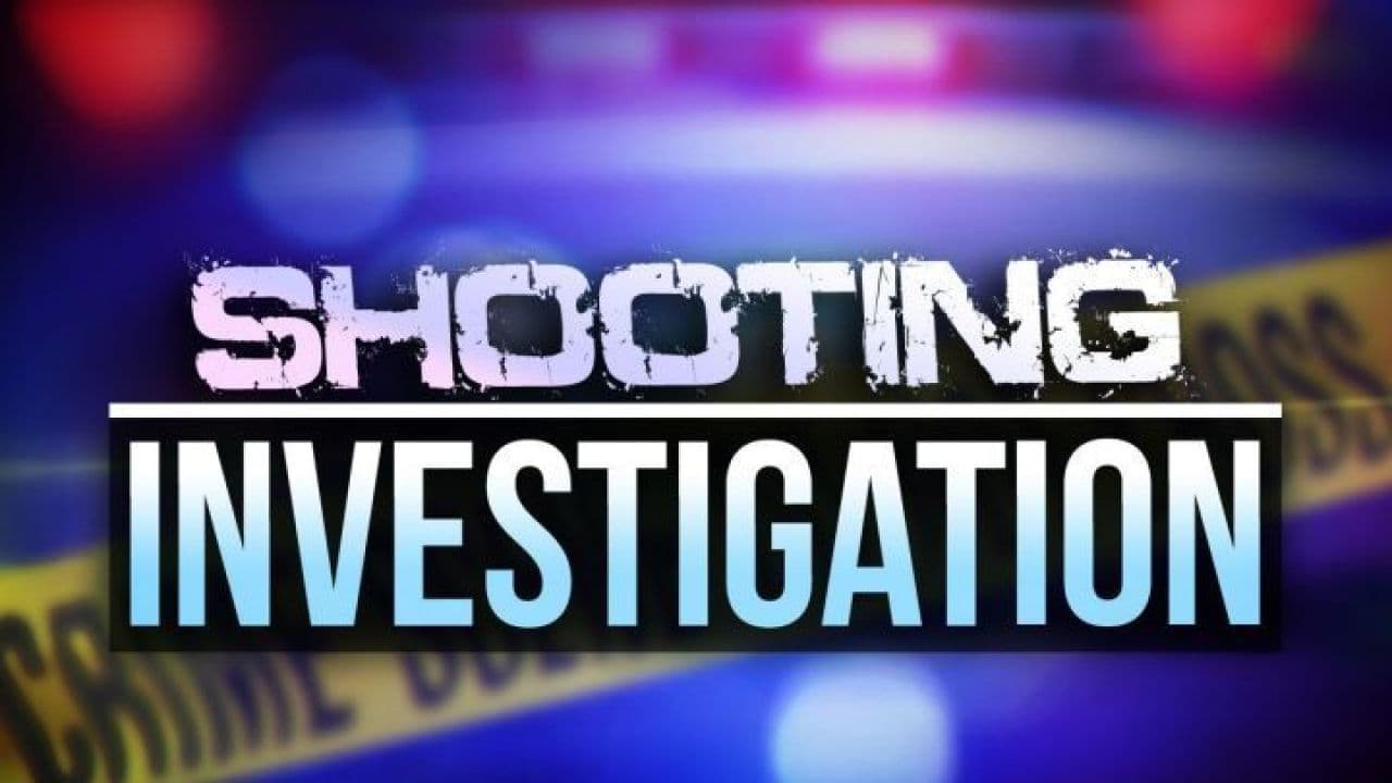 Man allegedly fired 11 shots into home after argument, four inside