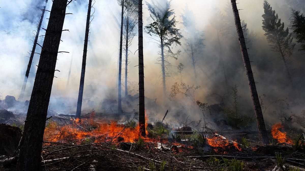 Smoke advisory issued for Halfway as prescribed fires drift north