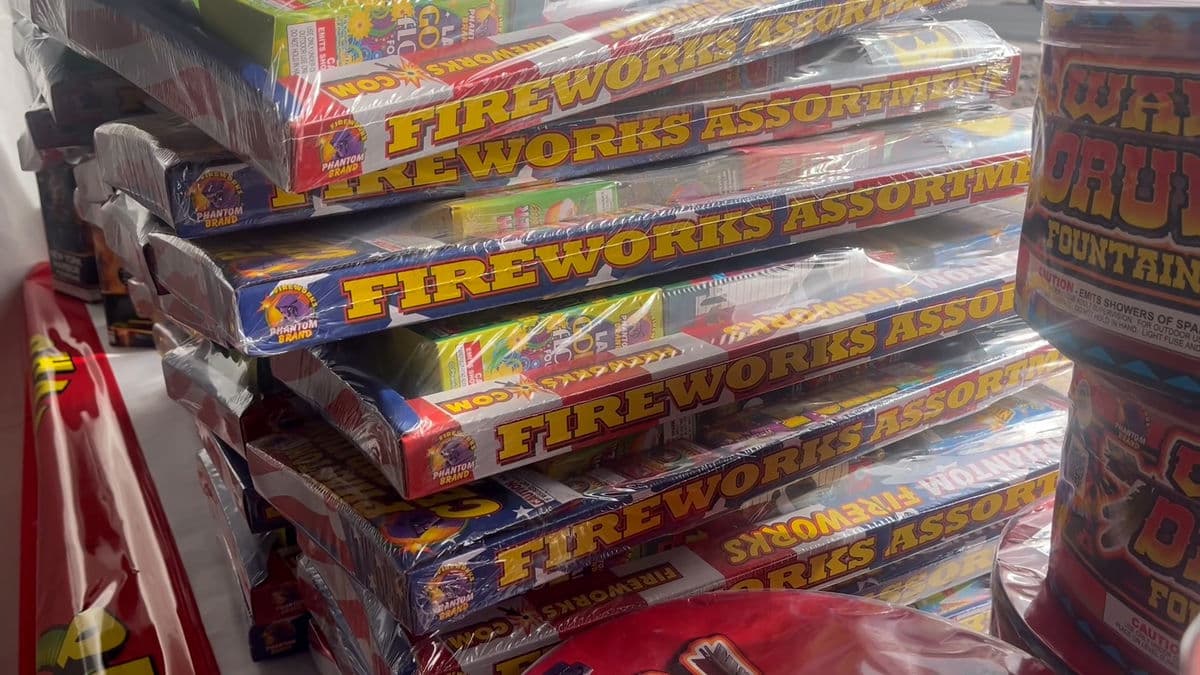 Yuma New Year Fireworks and Pet Safety: Local Impacts Explained