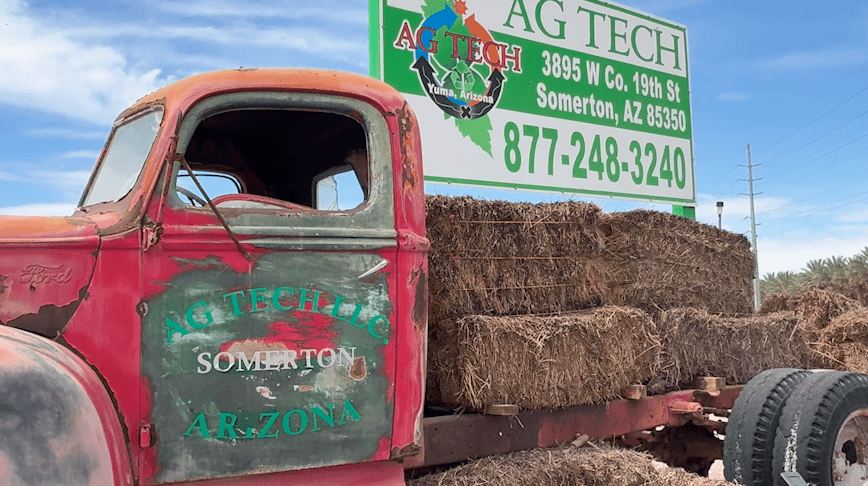 Yuma County Seeks Termination of AG Tech Lease Over Flies, Odors