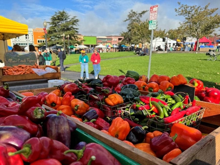 Arcata Farmers' Market Year-Round Hub for Local Food and Community