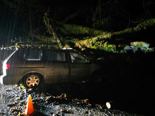 Early morning Petrolia minivan crash into tree sends one patient by medivac