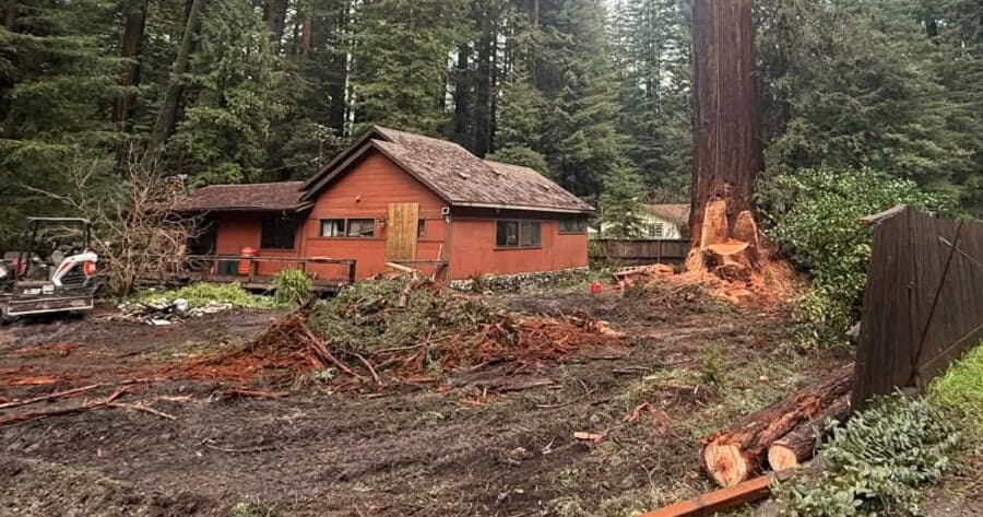 Lower Redway Outcry After CAL FIRE Exemption Allows Removal of Old-Growth Redwoods