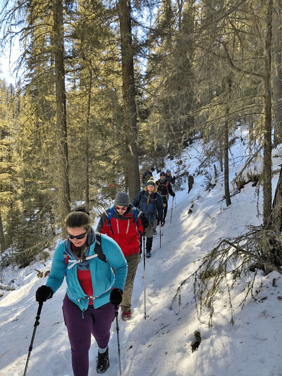 Winter outing in Jemez Mountains offers recreation, access, and safety focus