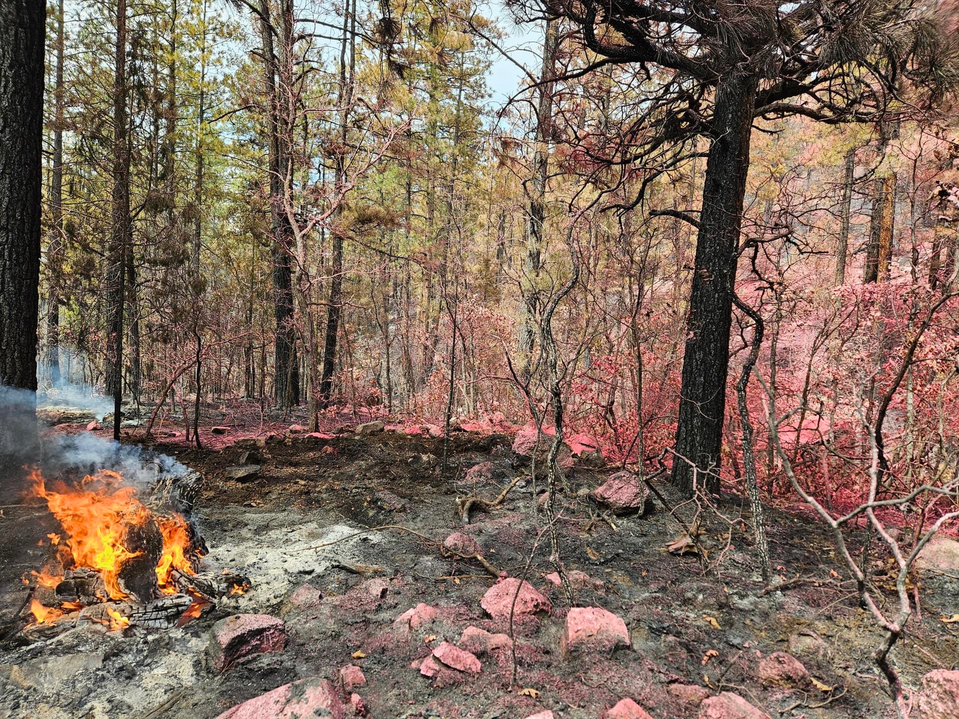 Nacimiento Wildfire Reaches 100% Containment After Burning 18 Acres