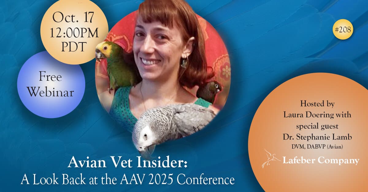 AAV Events Calendar Highlights Key 2026 Educational Opportunities for Parrot Owners and Vets