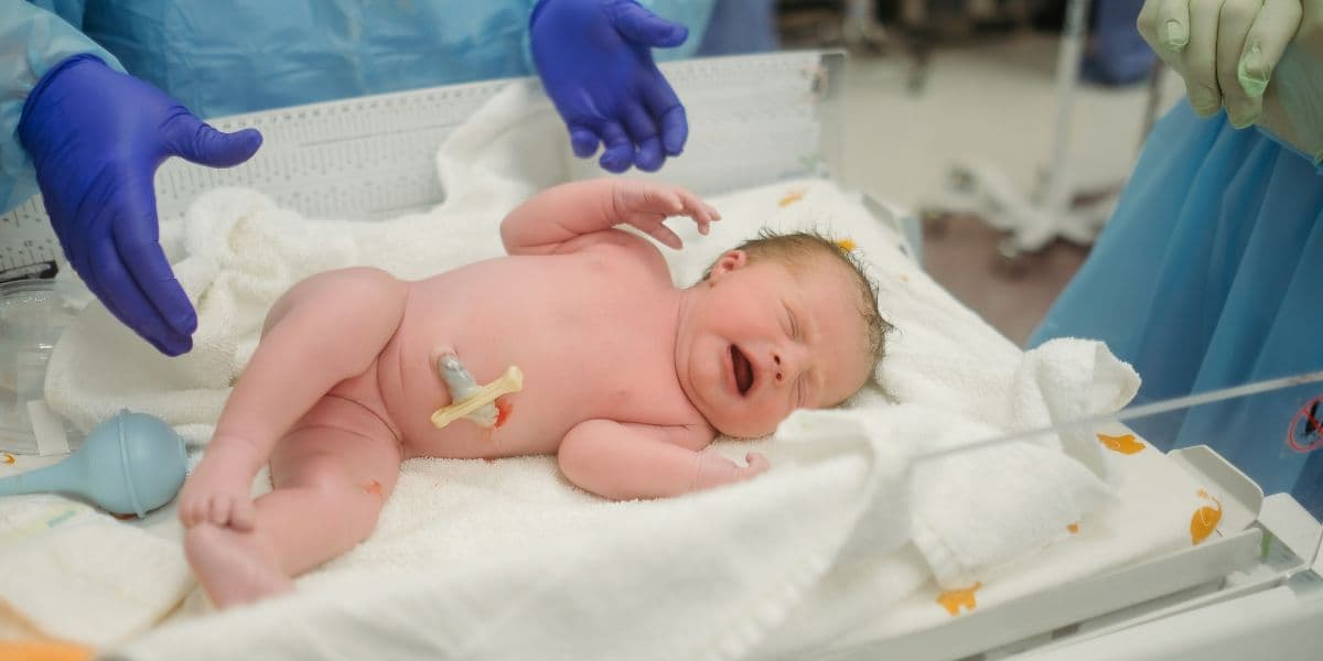 RevX Wellness’s Three-Part Modular Cold Plunge Systems Cut Costs, Boost Performance