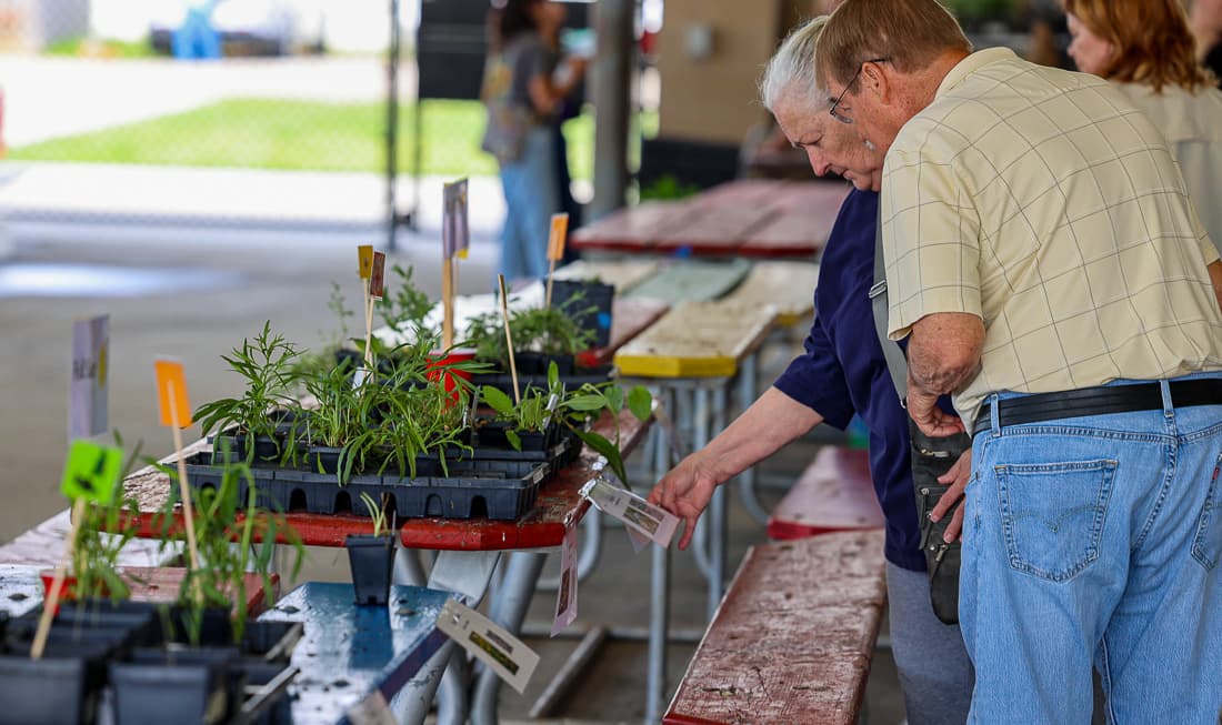 Douglas County native plant sale offers 10,000 locally grown plants