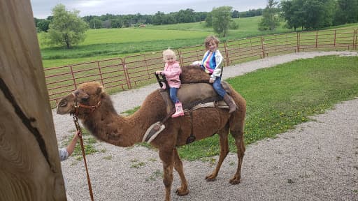 Trowbridge Creek Zoo offers close-up animal encounters in Vergas