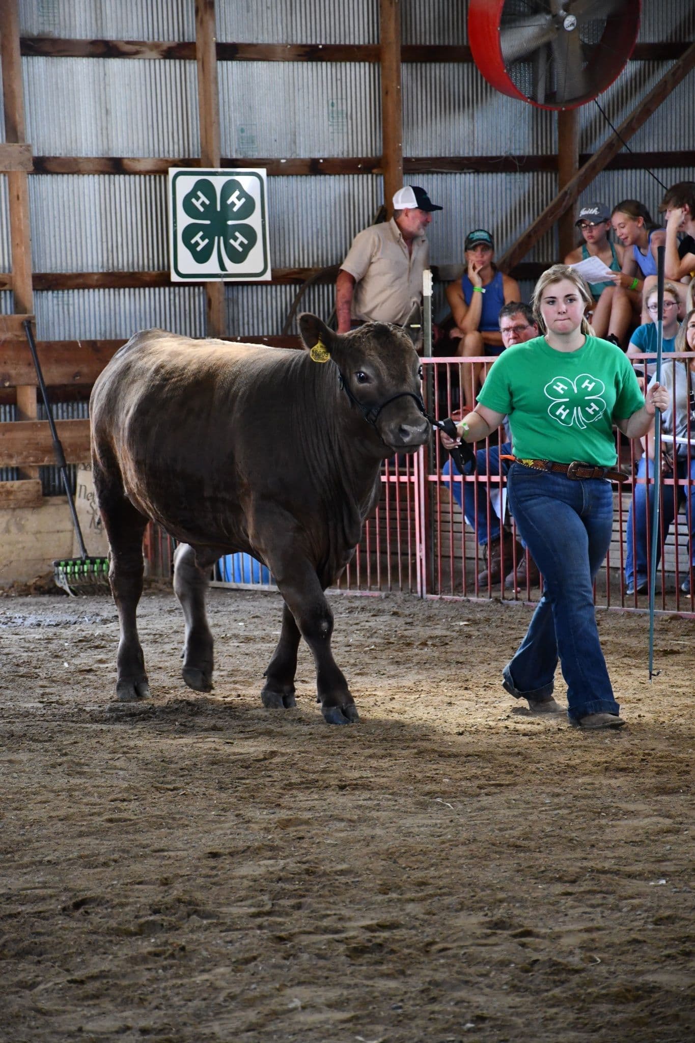 Buena Vista County Fair Returns, Strengthens Agriculture and Community Ties
