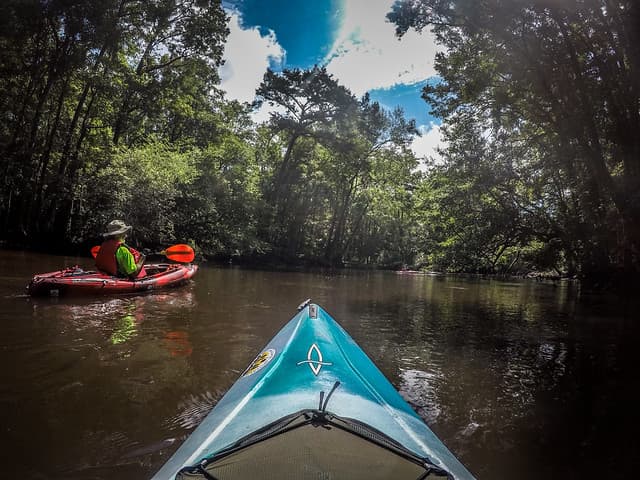Bamberg County paddling guide spotlights the South Fork of the Edisto