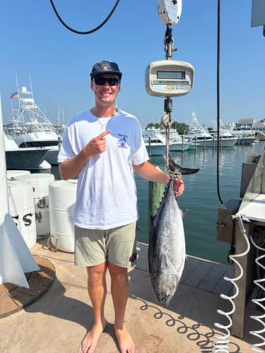 Ocean City angler lands record false albacore while trolling for bluefin tuna