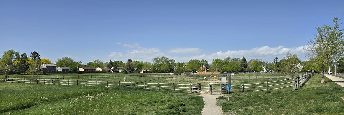 Longmont’s Dog Park #2 Closing Feb. 23 to 27 for Hydrant Upgrades