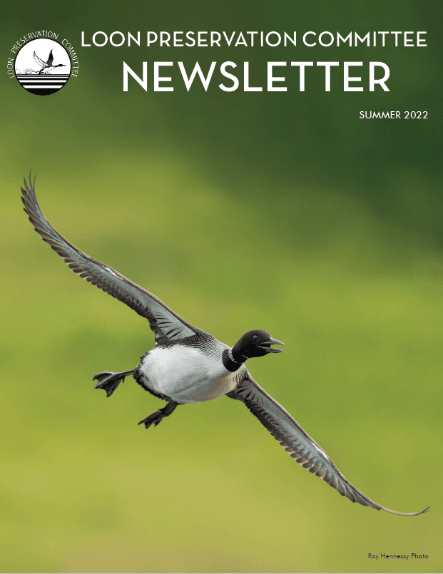 Loon Preservation Committee Visits Abbott Library Jan. 20 to Discuss Conservation