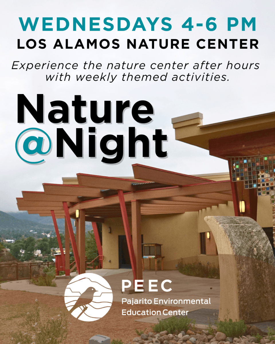 PEEC Launches Weekly Nature at Night Series for Families