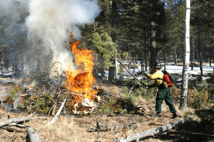 Bandelier Seeks Public Input on New Fire Management Plan